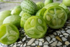 Semence de "Concombre mouse melon" non traité