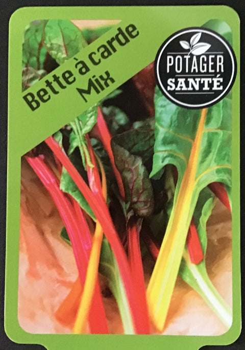 Bette à carde mix / Potager Santé