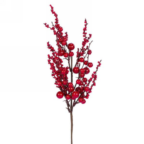 Branche de baies rouges