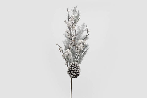 Pic de branches de sapinage