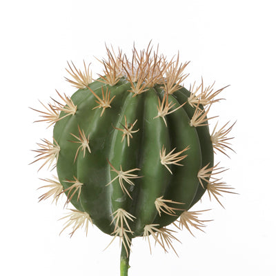 Cactus artificiel en cercle