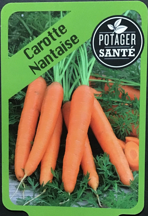 Carotte nantaise / Potager Santé