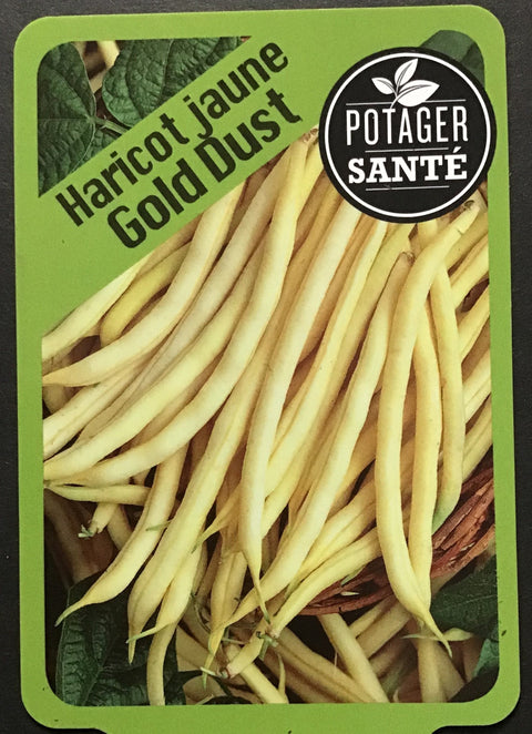 Haricot Jaune / Potager Santé