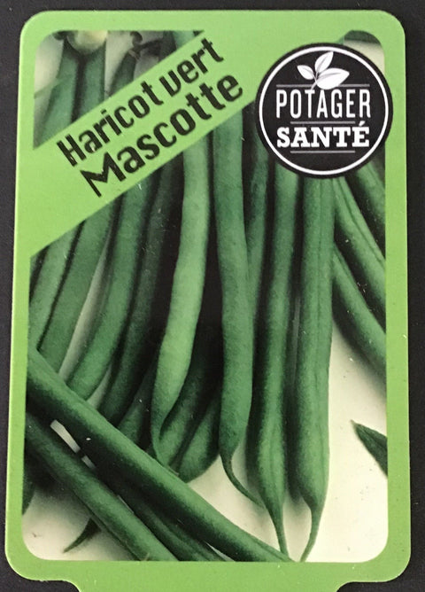 Haricot Vert / Potager Santé