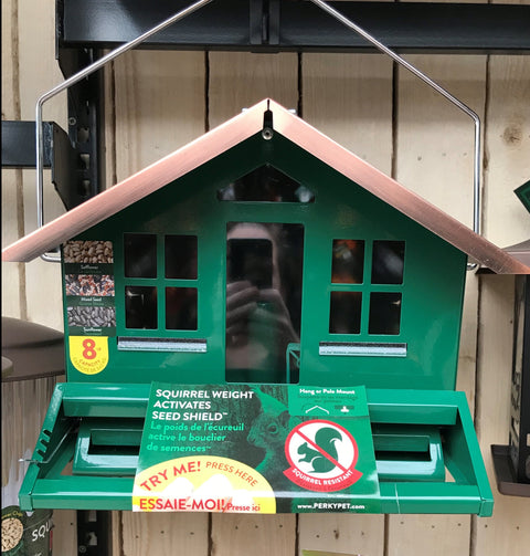 Mangeoire d'oiseaux anti-écureuil