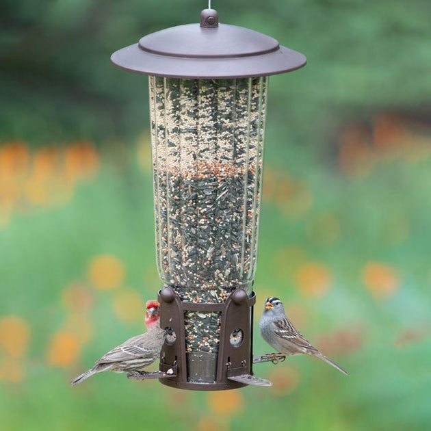 Mangeoire à oiseaux en métal résistant aux écureuils à suspendre