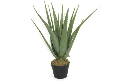 Plante Aloès artificielle