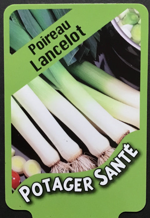 Poireau / Potager Santé