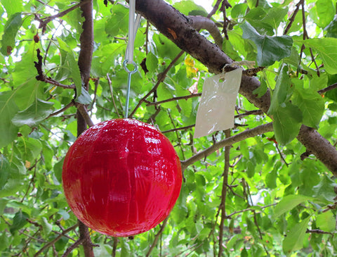 Pomme pour piège à mouche