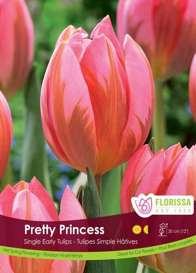 Bulbe de "Tulipe Pretty Princess"