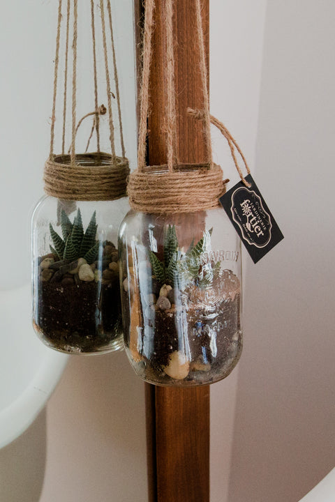 Terrarium en pot masson