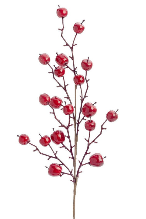 Branche de baies rouges
