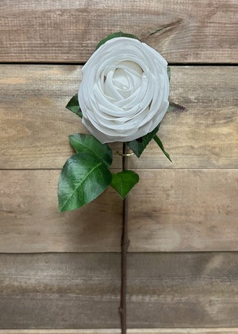Tige de rose blanche