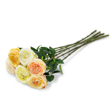 Tige de rose blanche