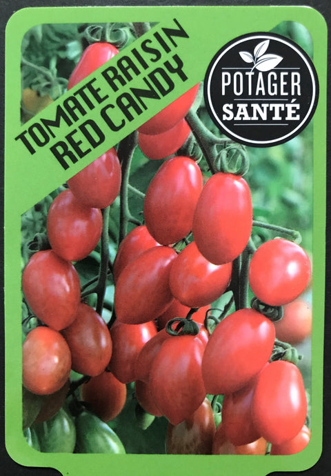 Tomate cerise red candy / Potager Santé