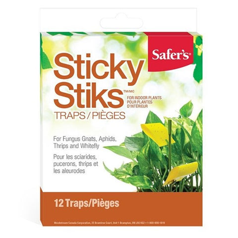 Pièges pour plantes d'intérieur