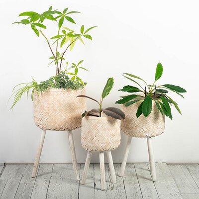Vase en bambou