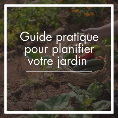Guide pratique pour planifier votre jardin avec succès