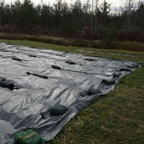 Herbicide 100 % naturel et efficace : préparez un jardin sans mauvaises herbes pour le printemps prochain