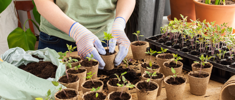 Préparer ses semis, ça commence ici !