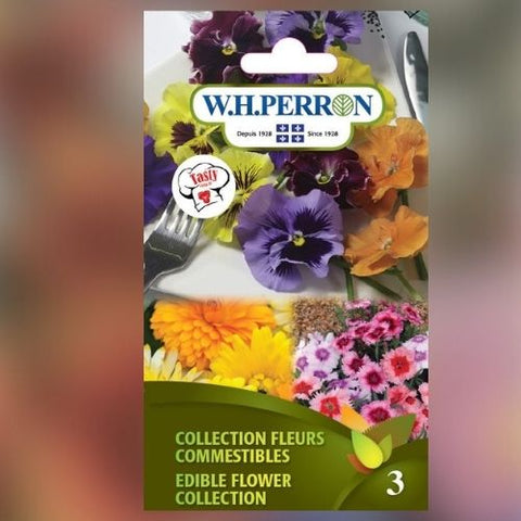 Semence de "Collection de fleurs comestibles" non traité