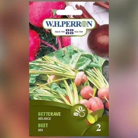 Semence de "Betterave mix" Biologique