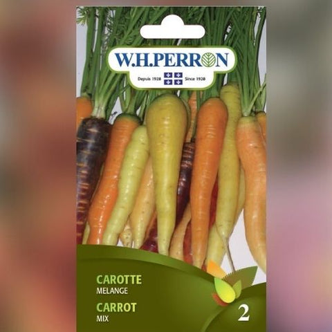 Semence de "Carotte en mélange"