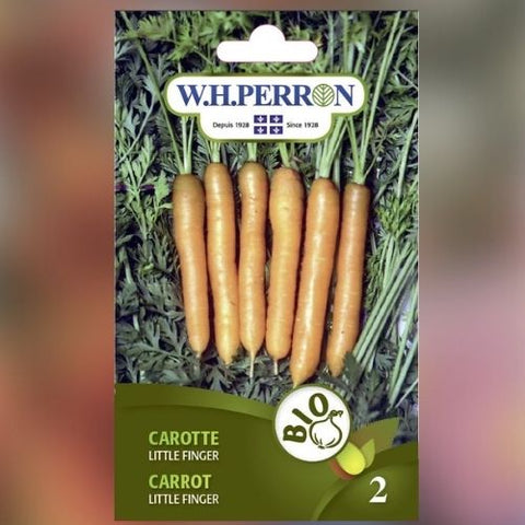 Semence de "Carotte little finger" Biologique