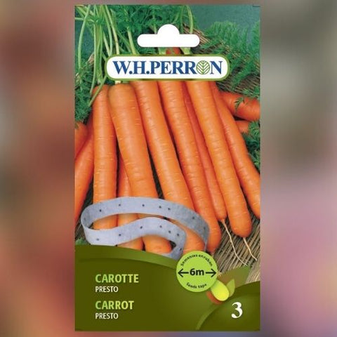 Semence de "Carotte presto" en ruban non traité