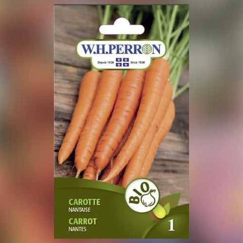 Semence de "Carotte nantaise" Biologique