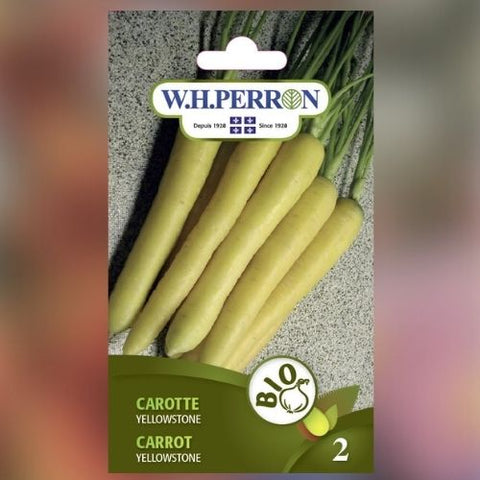 Semence de "Carotte Yellowstone" Biologique