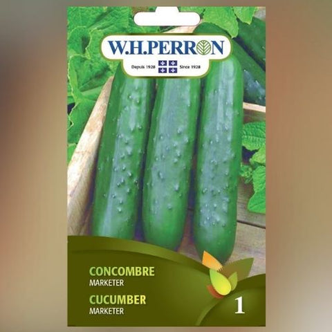 Semence de "Concombre Marketer"