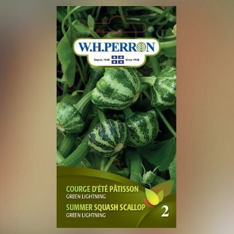 Semence de "Courge d’été Pâtisson Green Lightning"