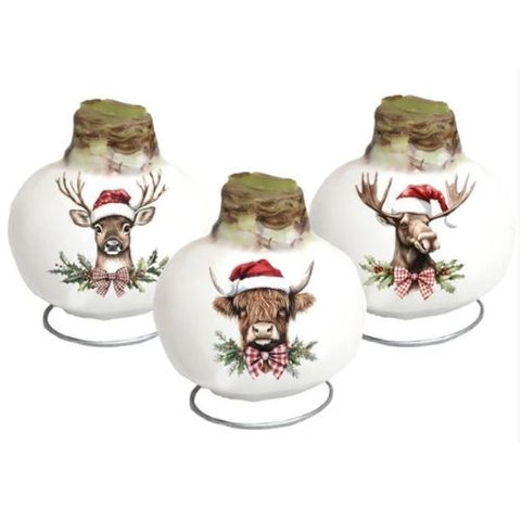 Bulbe "Amaryllis Holiday Animals"