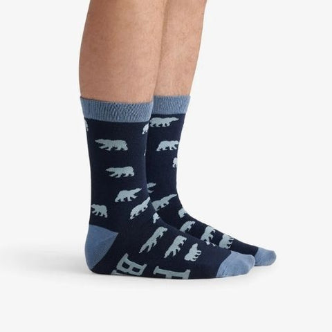 Chaussettes pour homme "Papa ours" - Hatley Little Blue House
