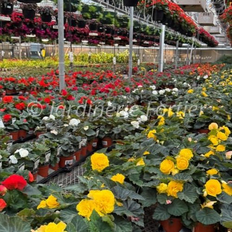 Visite de serre de production (photo de nos serres + drone)