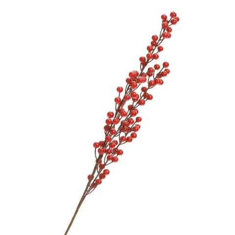 Tige de baies rouges