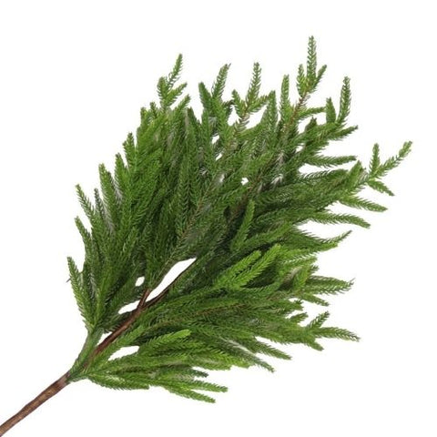 Tige décorative de pin Norfolk toucher réaliste