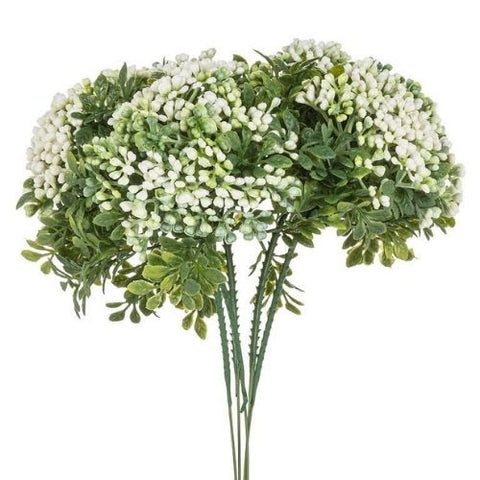 Bouquet de bourgeons blancs