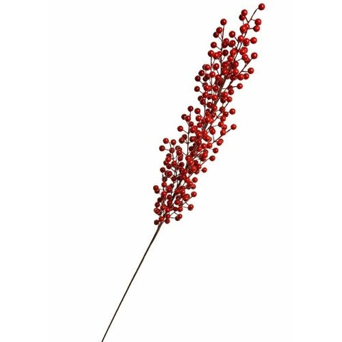 Branche de baies rouges décoratives