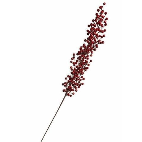 Branche de baies rouge foncé