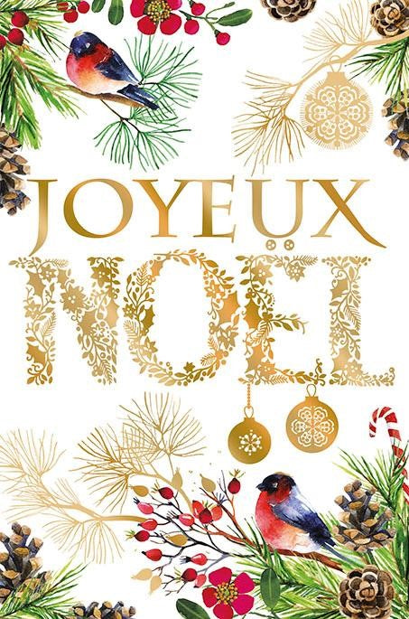 Carte de vœux « Joyeux Noël » avec oiseaux et motifs dorés