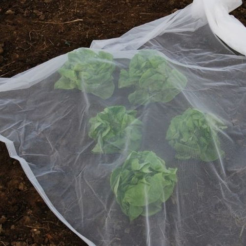 Filet anti-insectes-BIOPLUS-2x3.65m-protection-biologique-anti-insectes