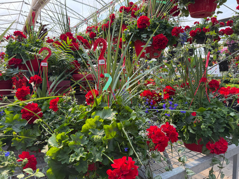 Jardinières