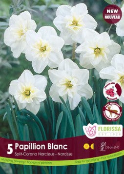 Bulbe de Narcisse "Papillon blanc"