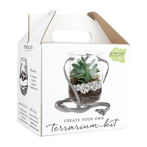 Kit pour terrarium