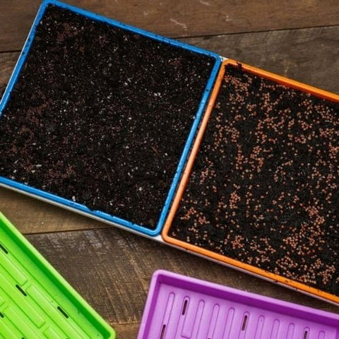 Plateau 1010 sans trou Bootstrap Farmer