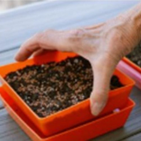 Plateau carré orange peu profond Bootstrap