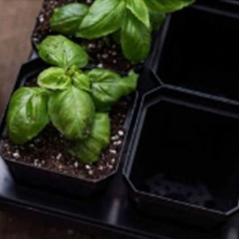 Support de 18 insertions Bootstrap