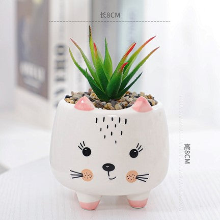 Pot de succulente à motif de chat